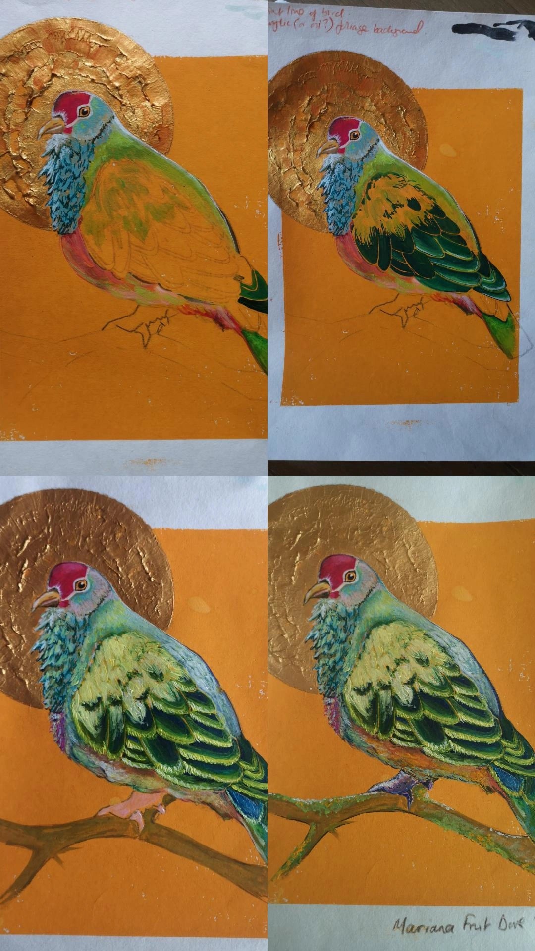 Mariana Fruit Dove (A5 or A6 options) (Scanned, from original)