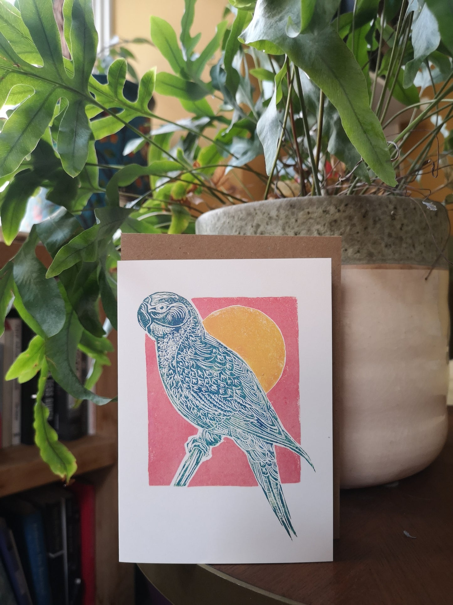 Mix pack of 5 cards