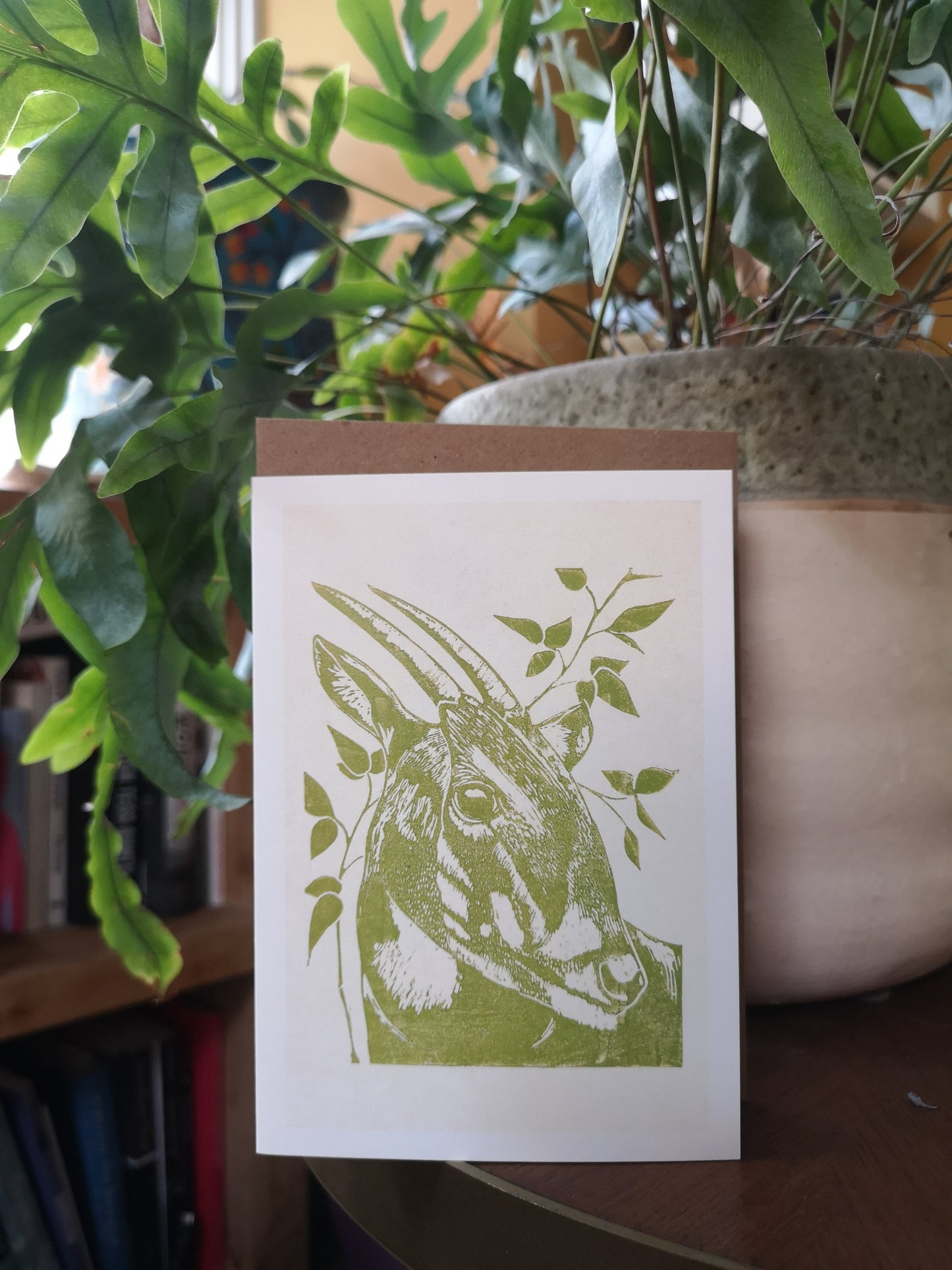 Mix pack of 5 cards