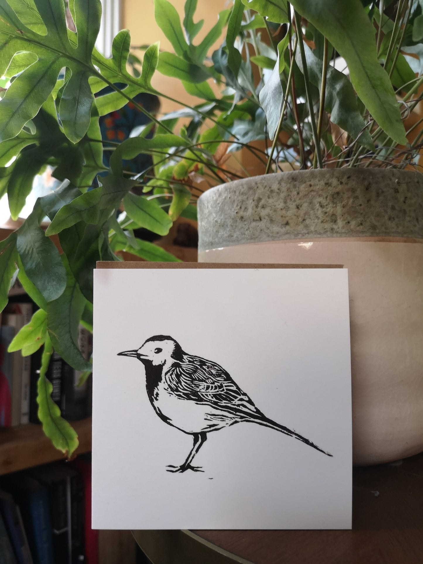 Mix pack of 5 cards