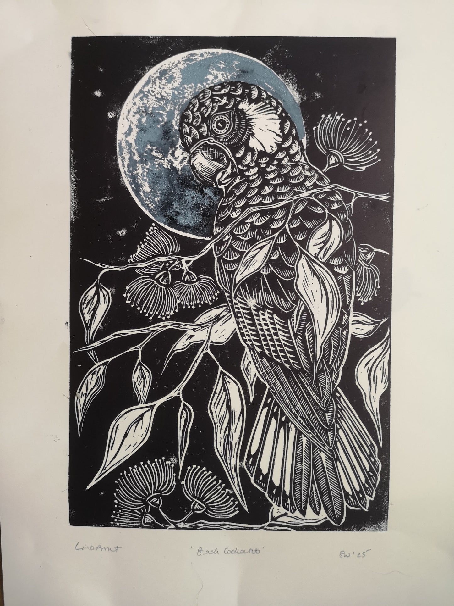 Black Cockatoo linoprint (Original, hand-printed)