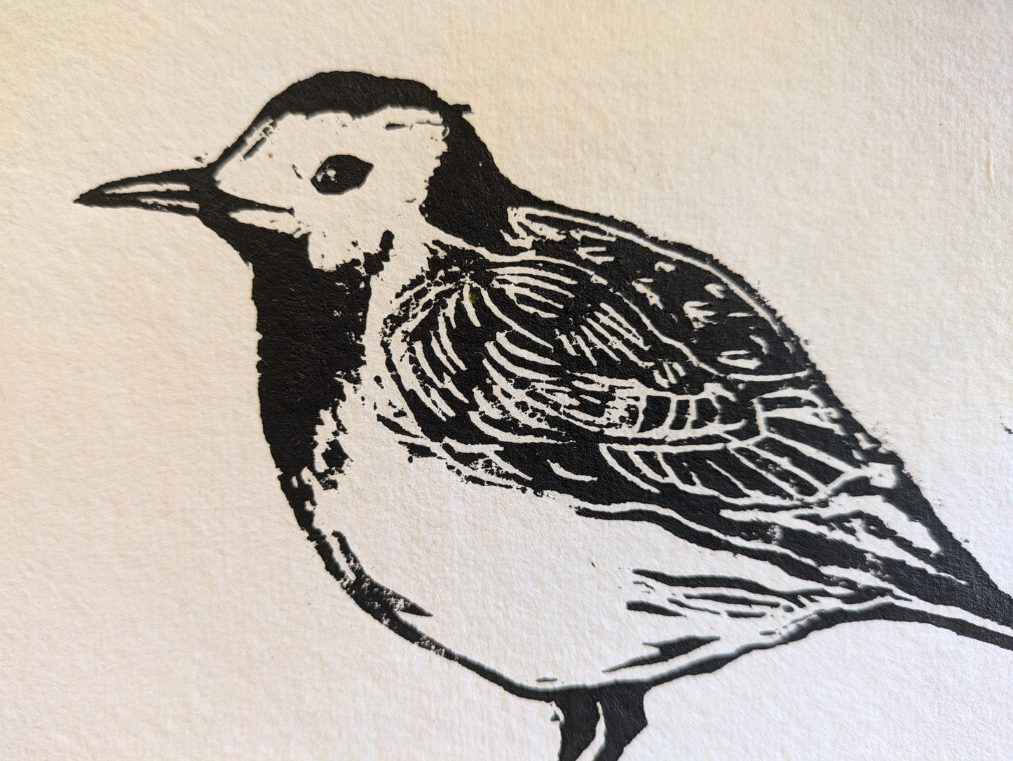 Wagtail woodcut (Original, hand-printed)