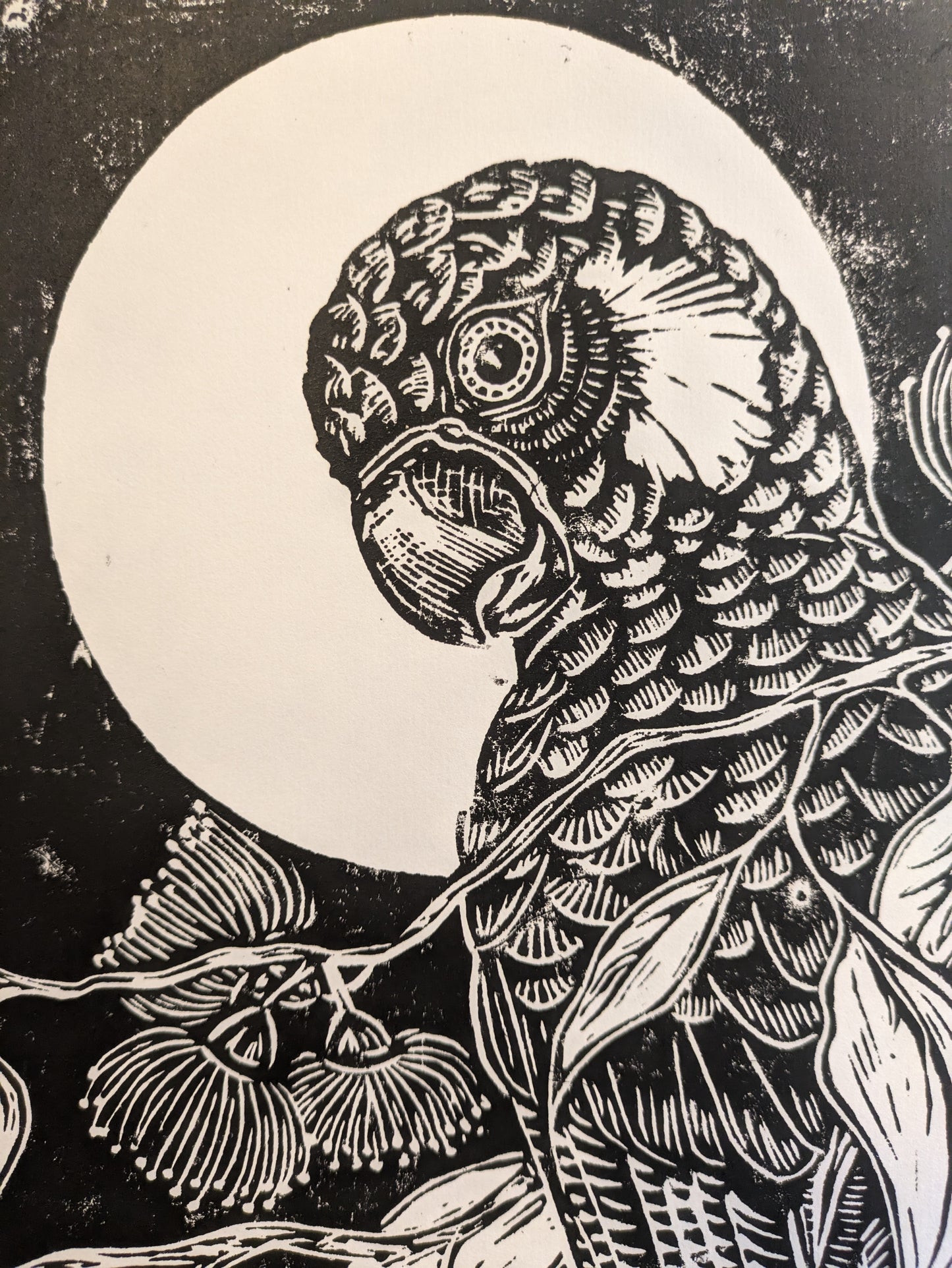 Black Cockatoo linoprint (Original, hand-printed)