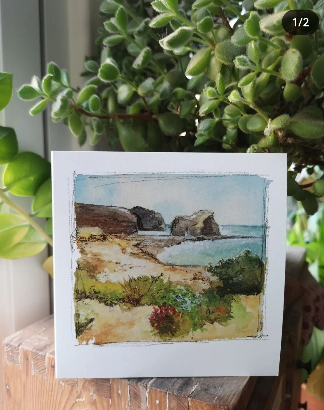 Mix pack of 5 cards