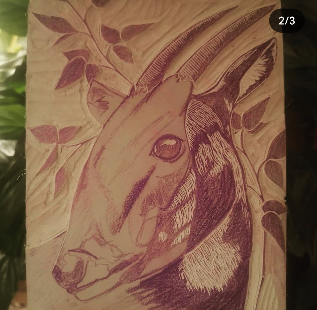 Saola - The Asian unicorn card (Scanned, from original)