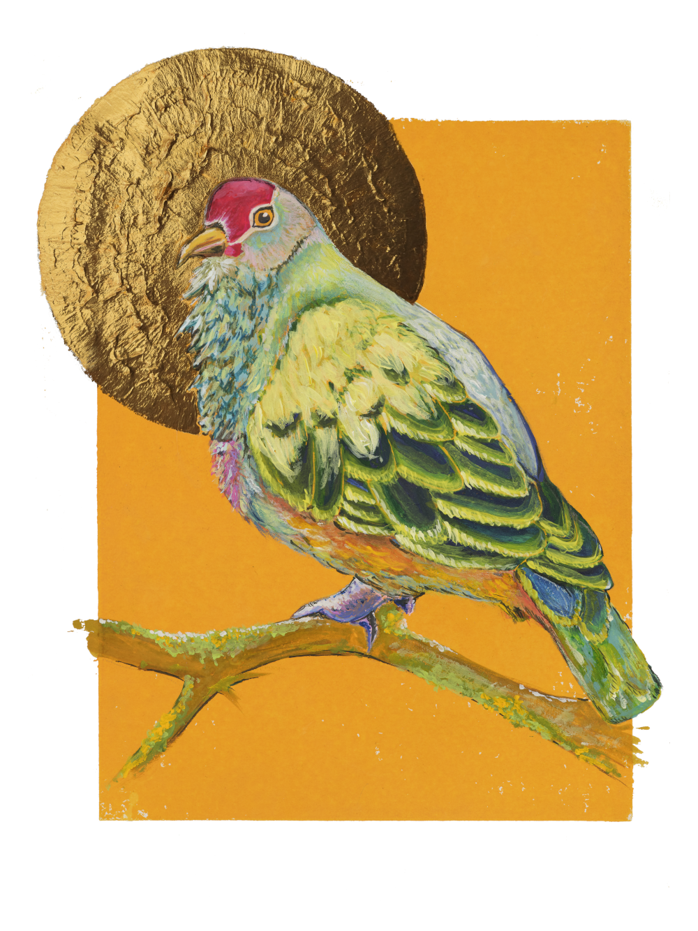 Mariana Fruit Dove (A5 or A6 options)