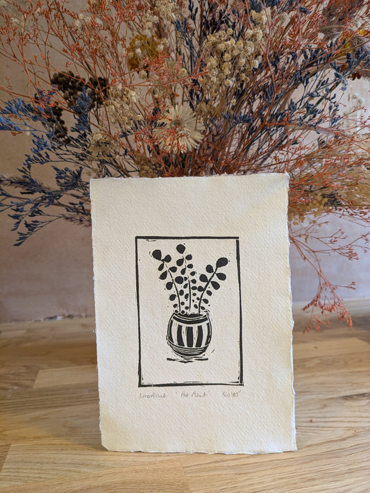 Wee pot plant (Original, hand-printed)